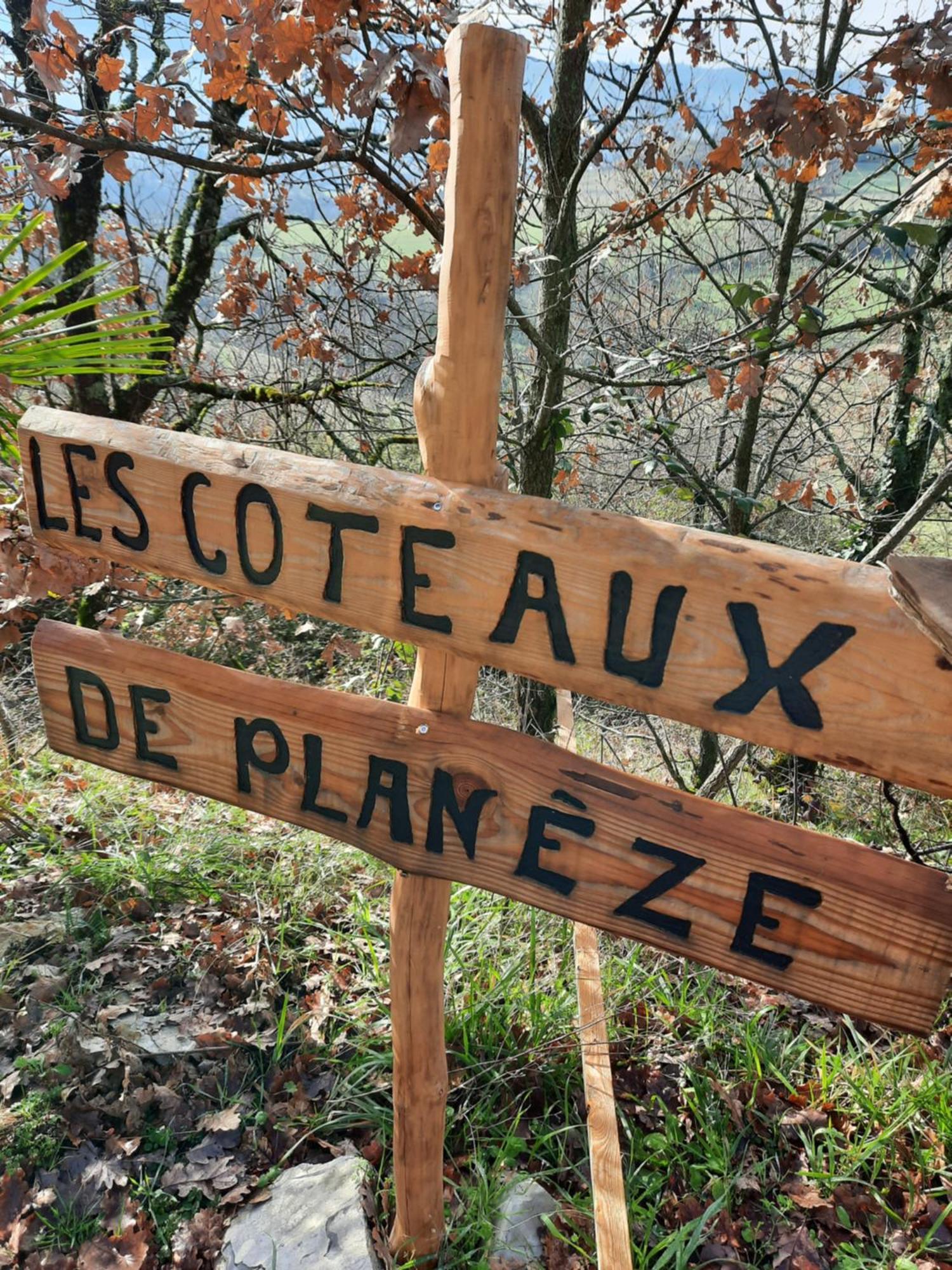 Les Coteaux De Planeze, Chambre Pour 2, 3 Ou Famille Nombreuse 2 Adultes 5 Enfants Et Jeunes Belmont-Bretenoux Exterior foto